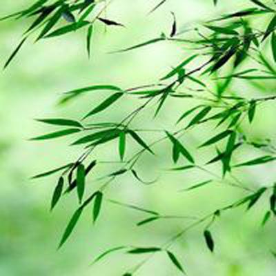侠客群英传游戏(暂未上线)v2.35 安卓版
