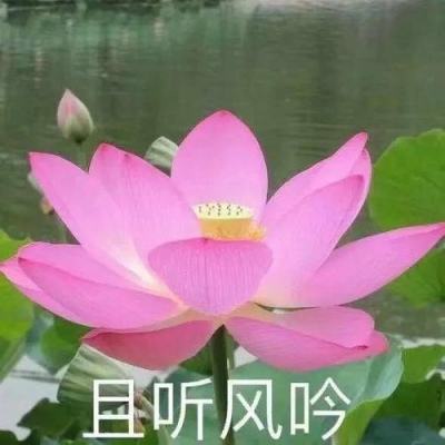 360天天撞神将手游下载